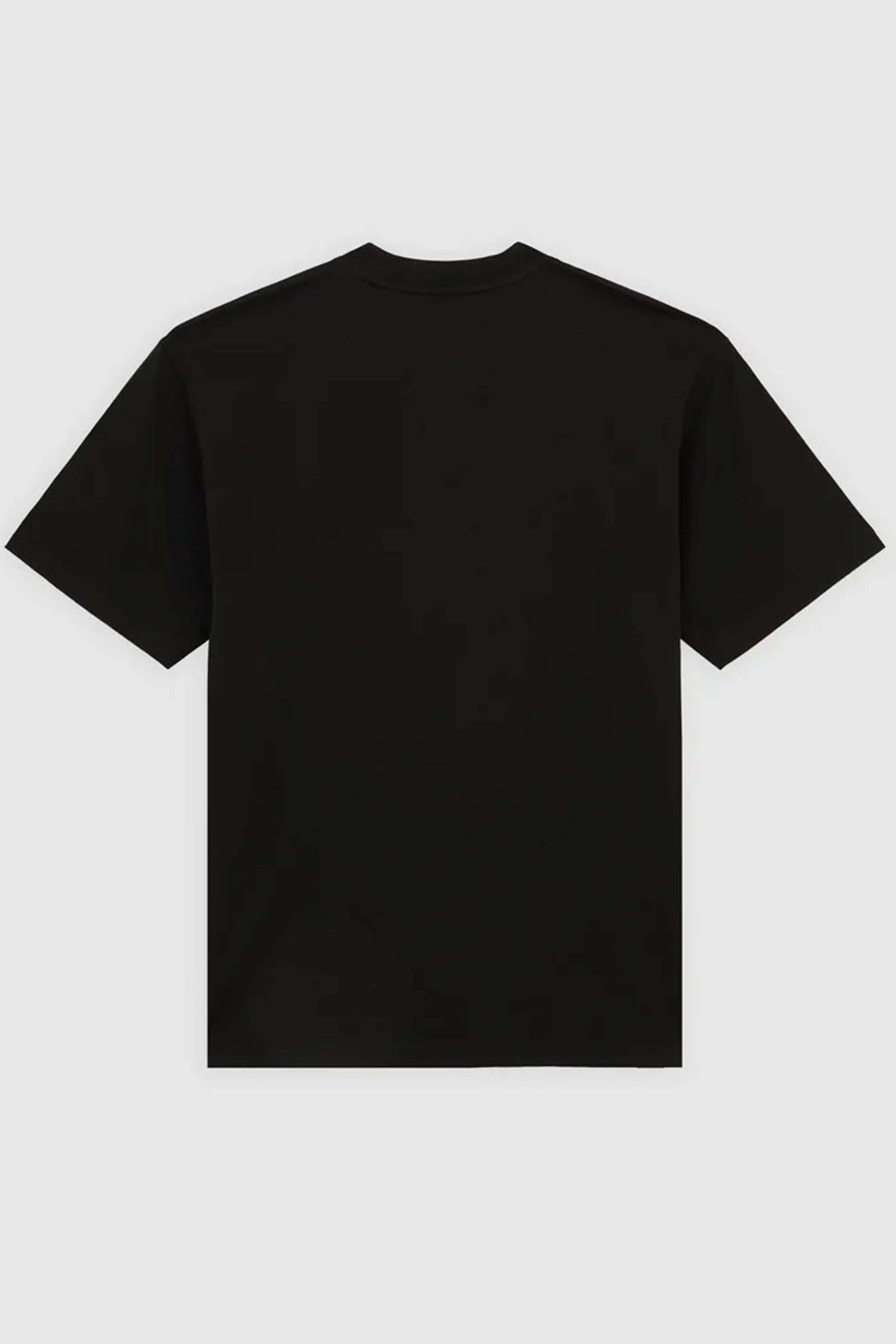 DICKIES DKAQDBLK en color NEGRO (4)