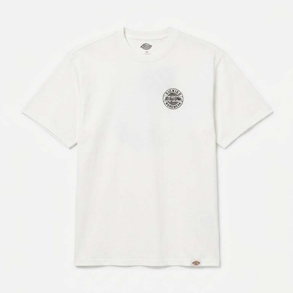 DICKIES DKAQLWH en color BLANCO (4)