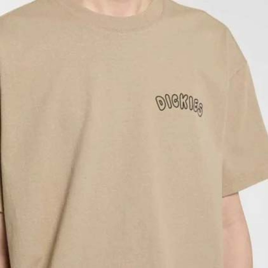 DICKIES DKAQTDS en color BEIS (6)