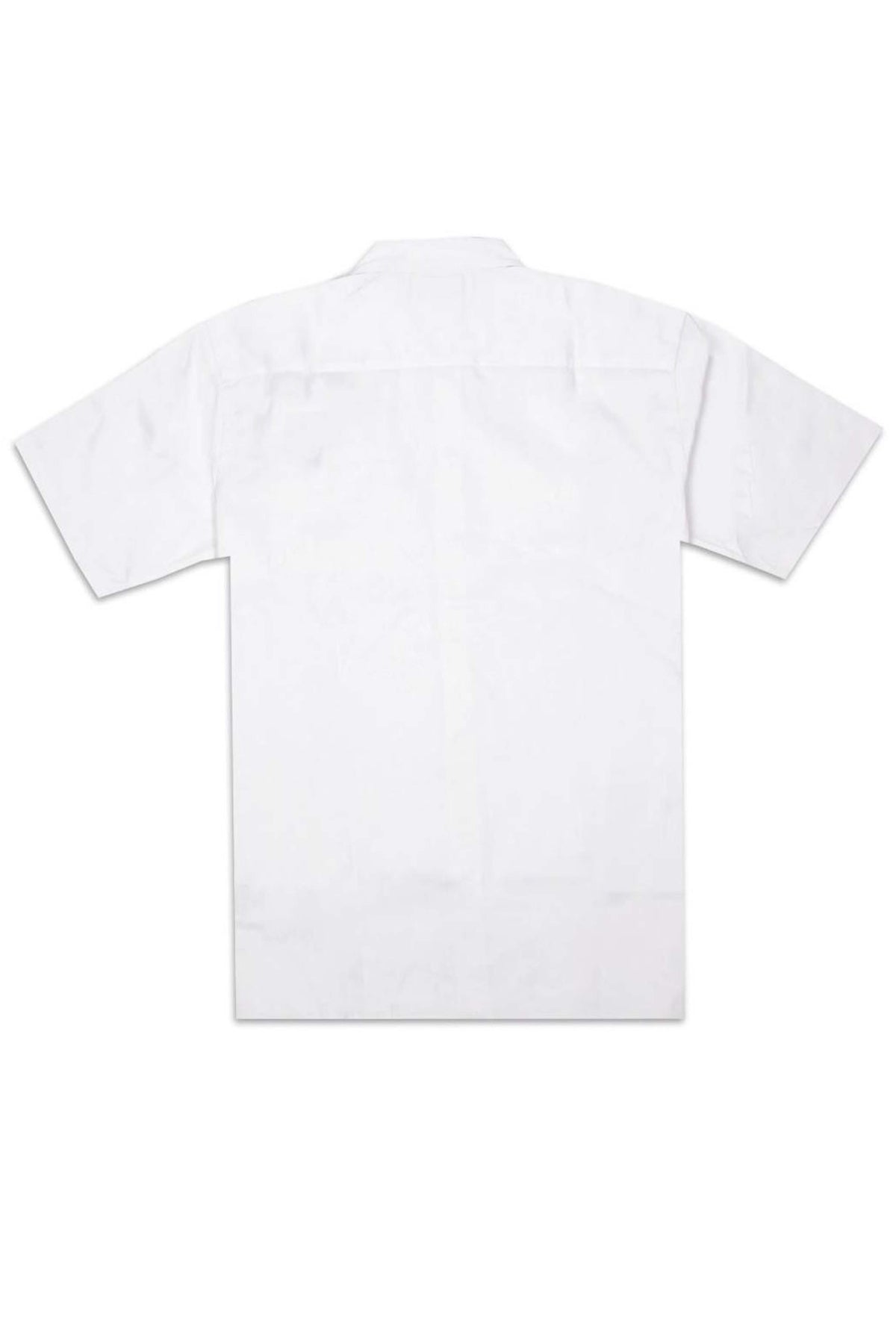 DICKIES DKAXRRWHX en color BLANCO (2)