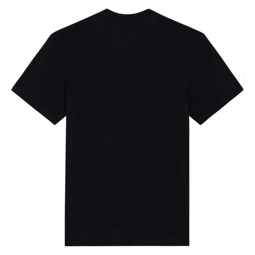 DICKIES DKAXUCBLK en color NEGRO (5)