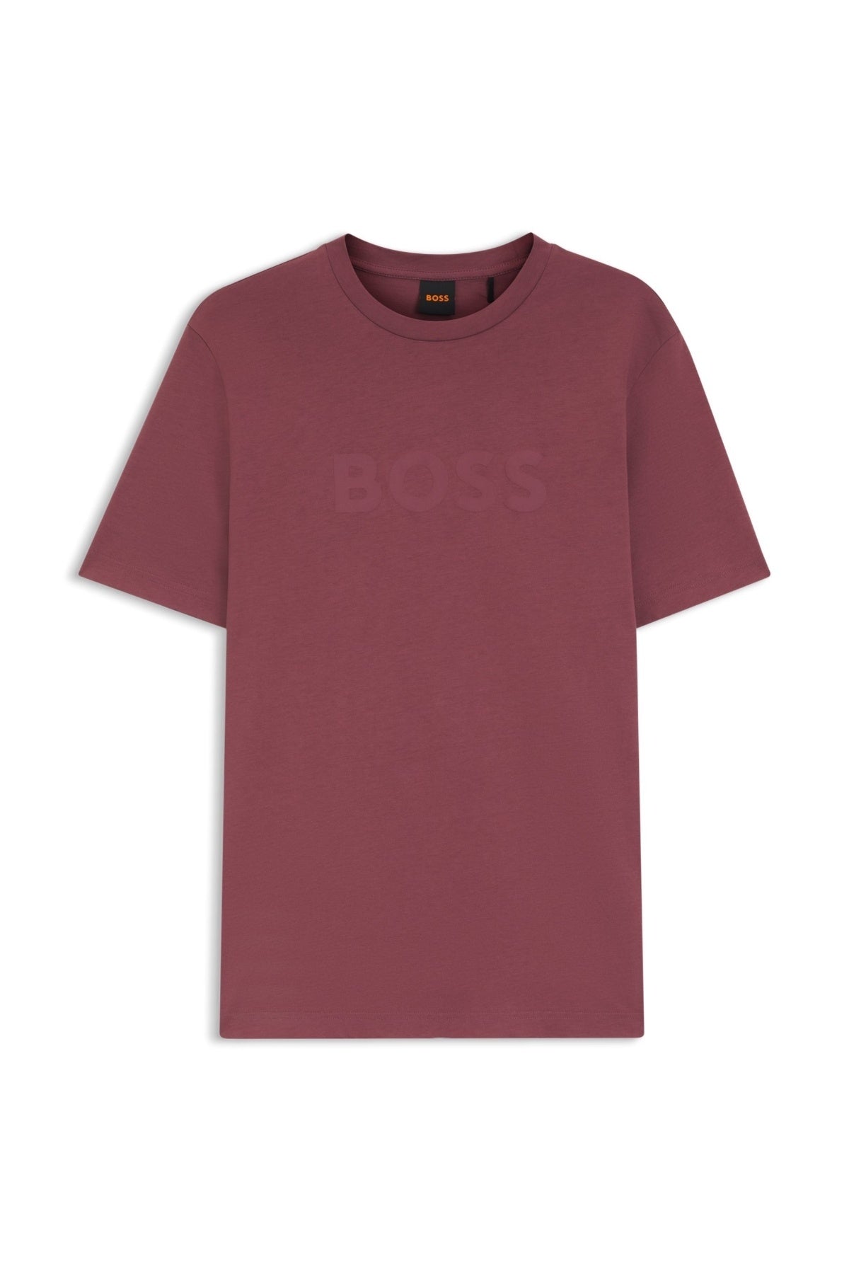 BOSS HB TE LOGO en color (3)