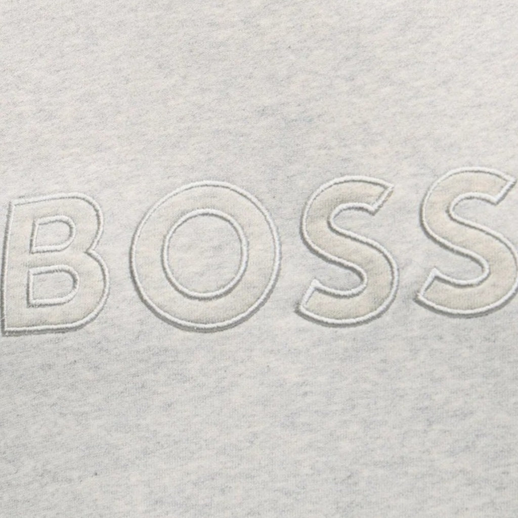 BOSS HB WE LOGO en color GRIS (6)