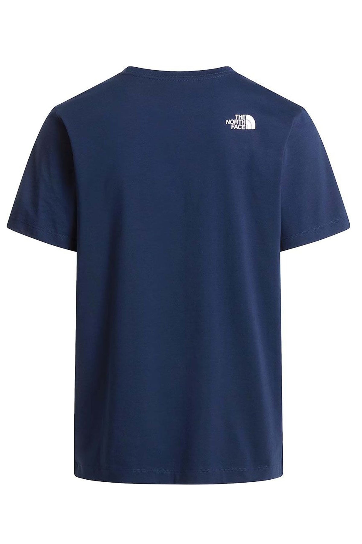 THE NORTH FACE NFABJI en color AZUL (3)