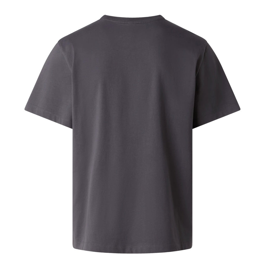 THE NORTH FACE NFAGQERHI en color GRIS (4)
