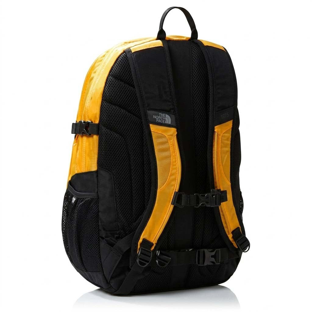 THE NORTH FACE NFCFCWP en color AMARILLO (5)