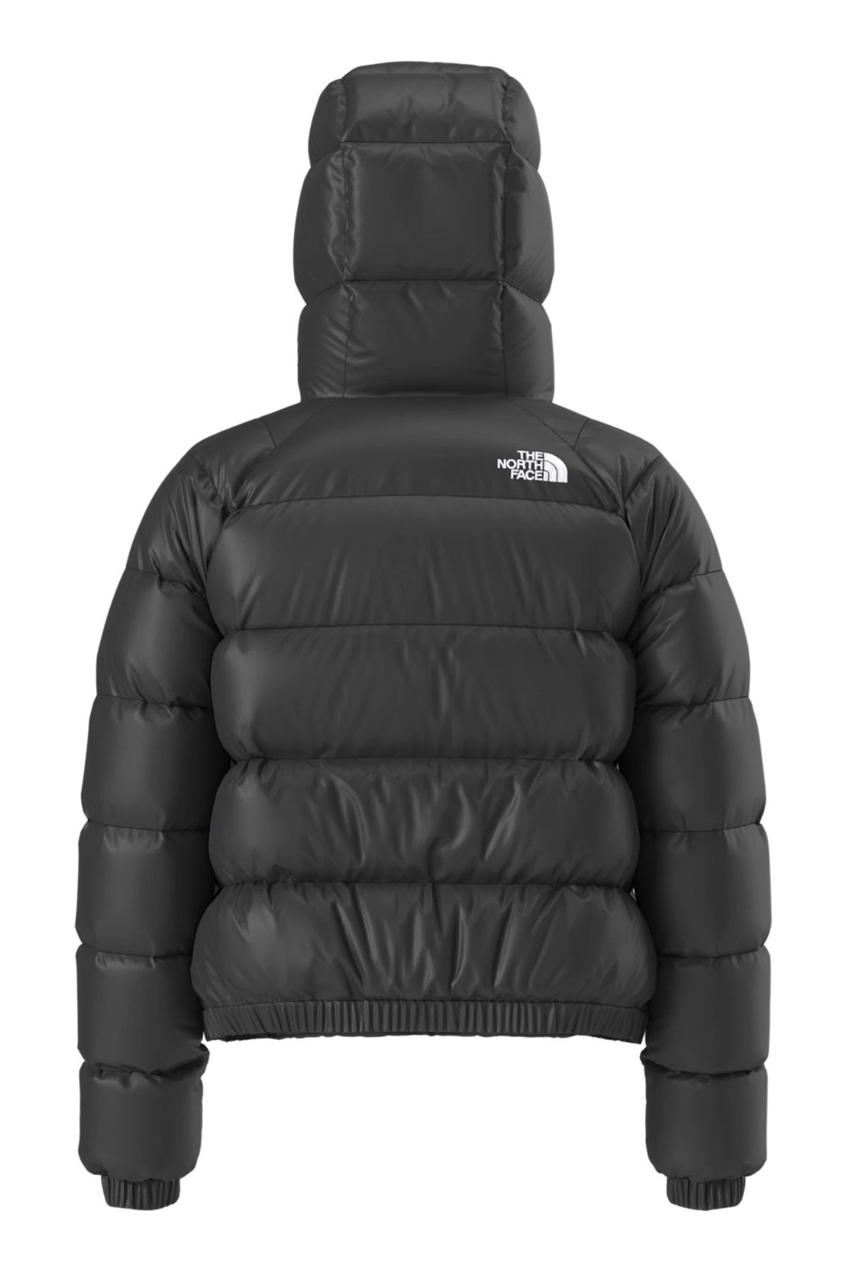 THE NORTH FACE W HYDRN DWN HOODIE en color NEGRO (2)