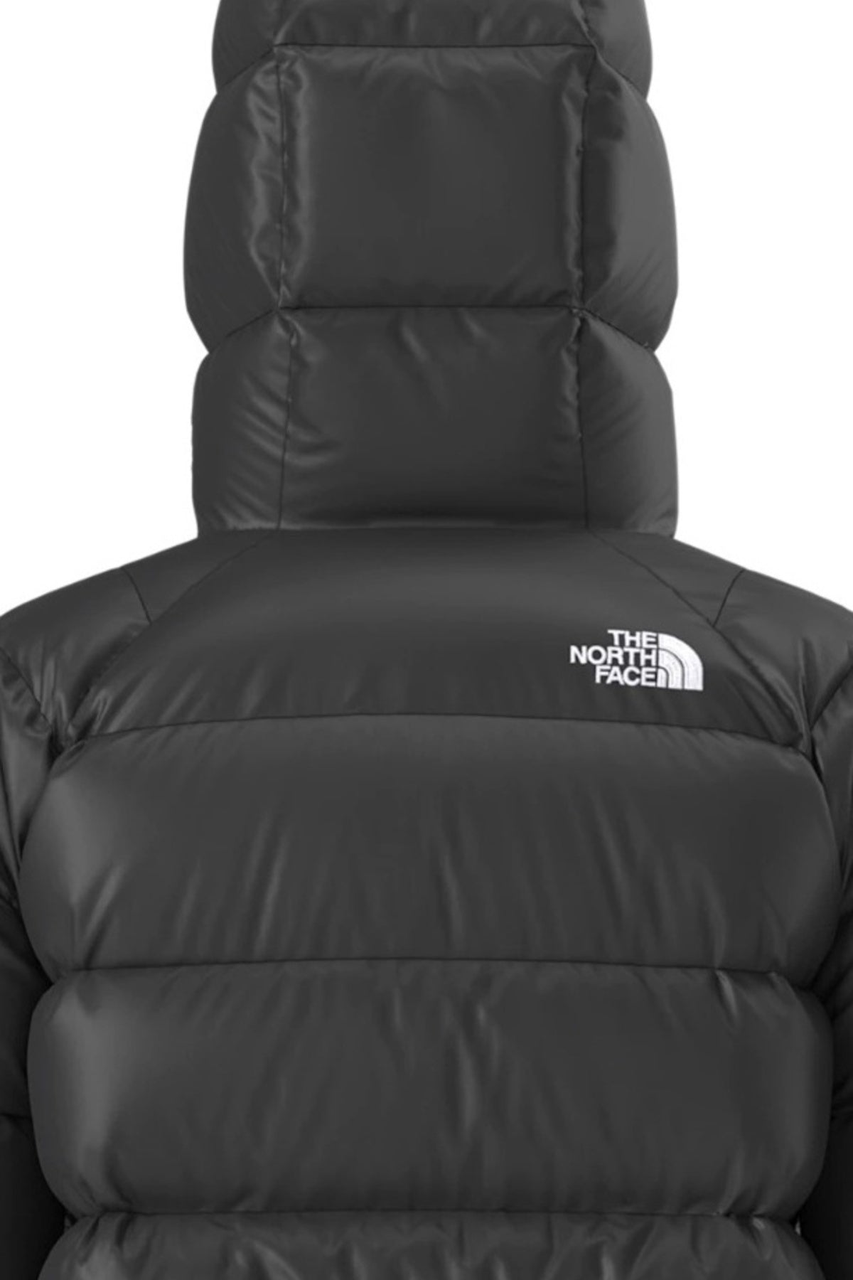 THE NORTH FACE W HYDRN DWN HOODIE en color NEGRO (5)