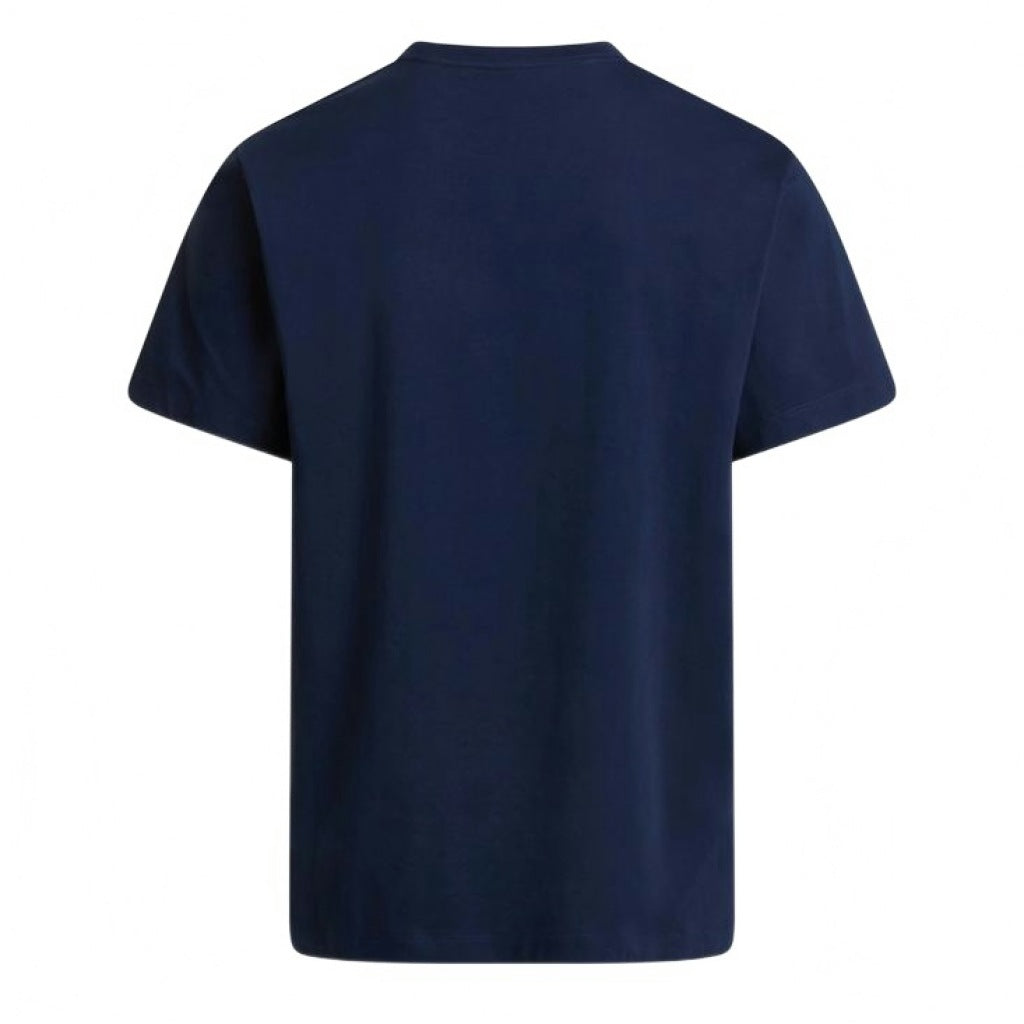 THE NORTH FACE M EVO SD REG SS TEE en color AZUL (5)