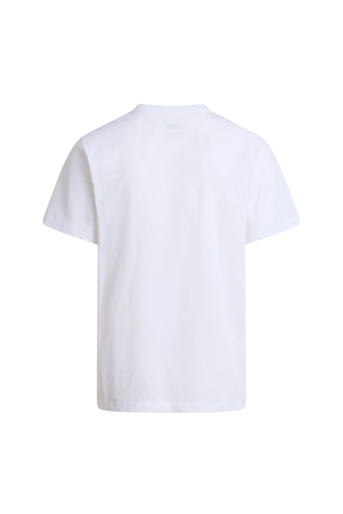 THE NORTH FACE M EVO SD REG SS TEE en color BLANCO (2)