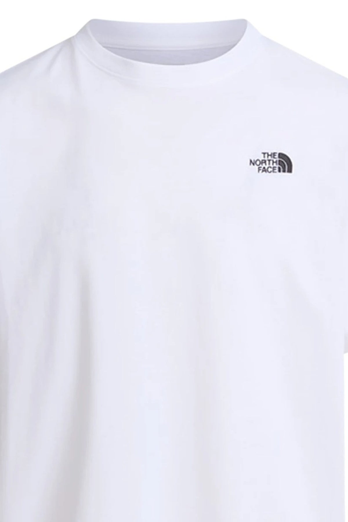 THE NORTH FACE M EVO SD REG SS TEE en color BLANCO (3)
