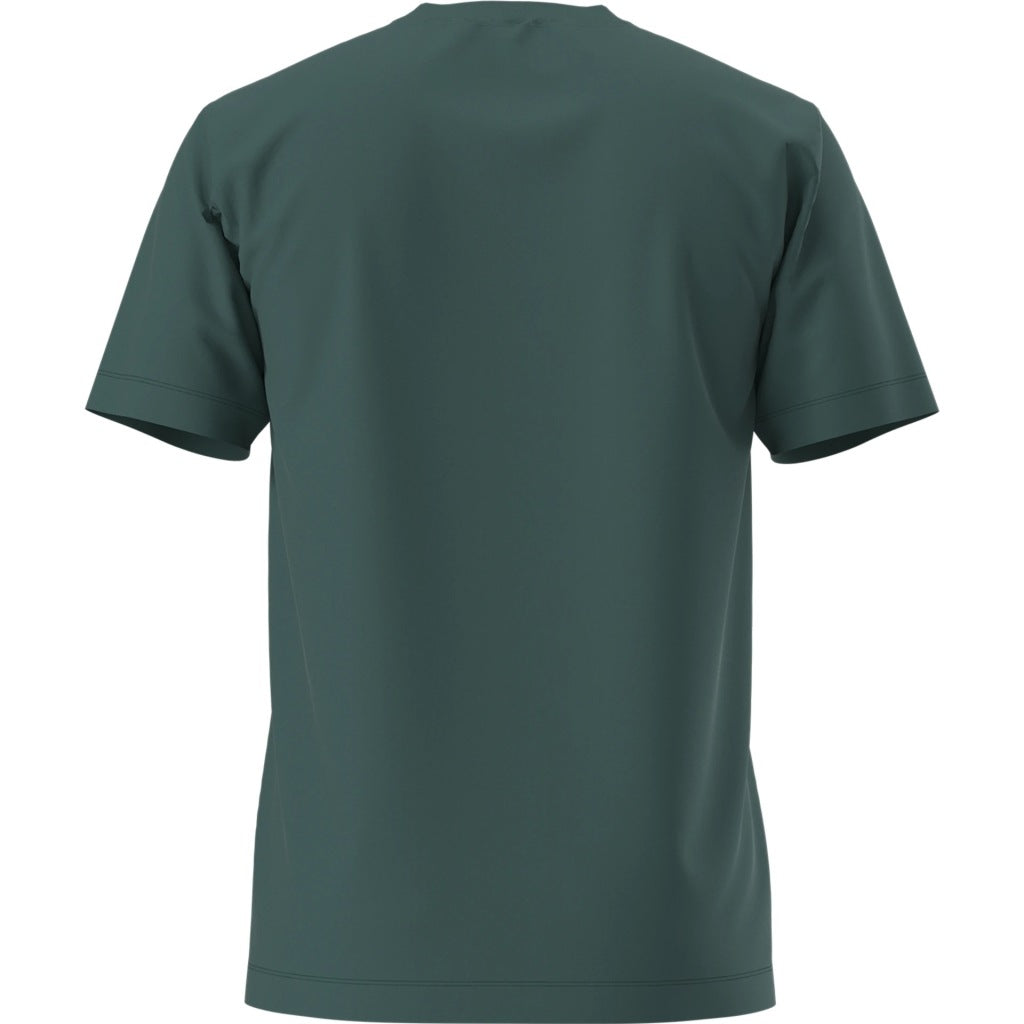 THE NORTH FACE M EVO SD REG SS TEE en color VERDE (5)