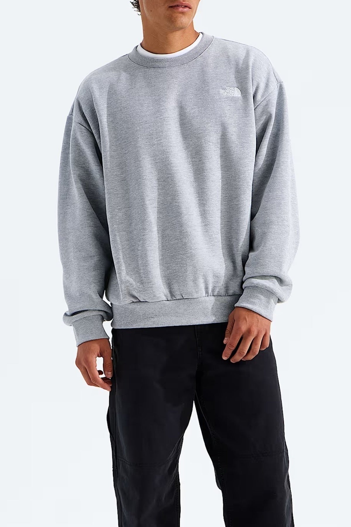 THE NORTH FACE M EVO SD REG CREW en color GRIS (1)