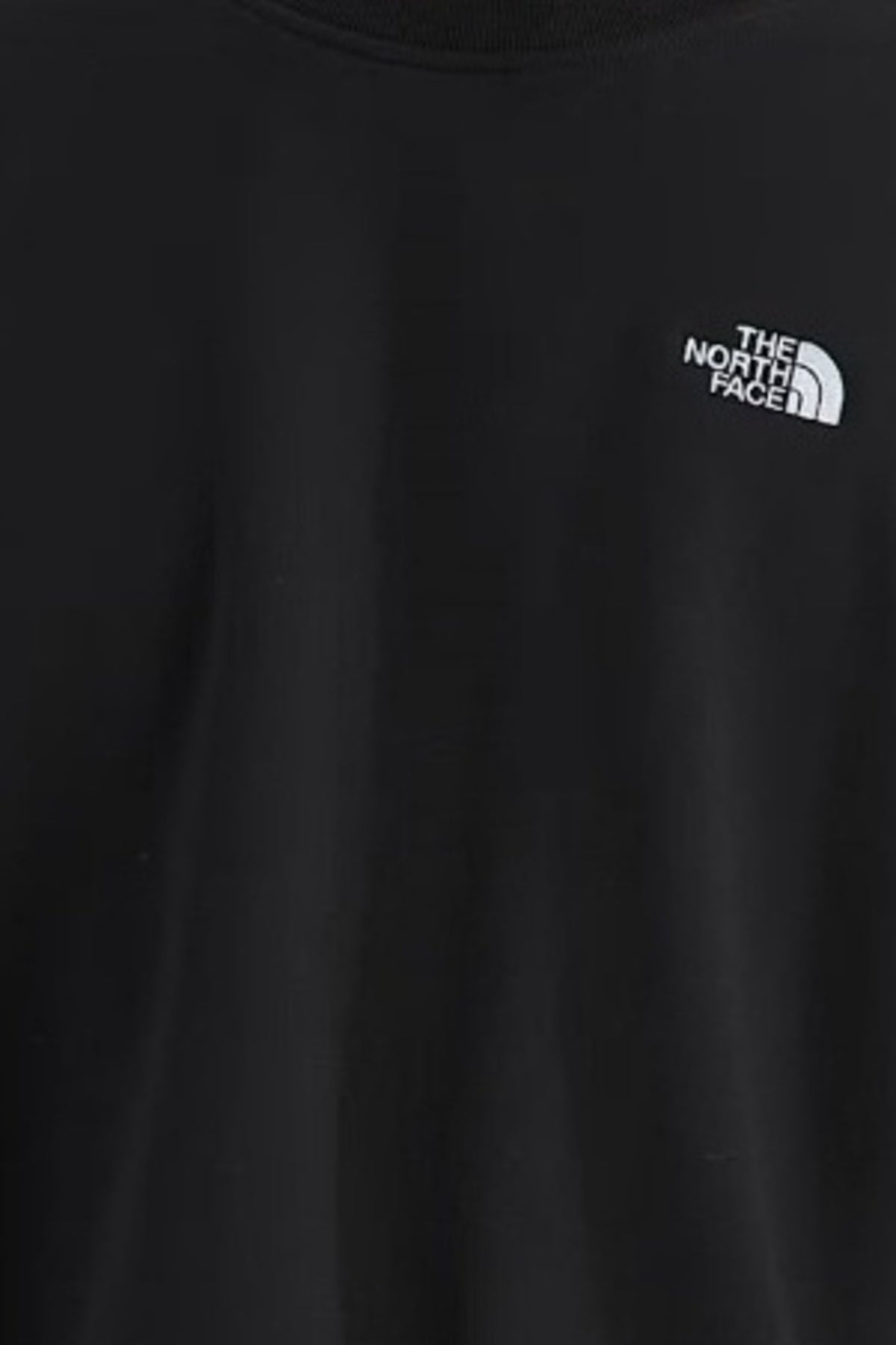 THE NORTH FACE M EVO SD REG CREW en color NEGRO (3)