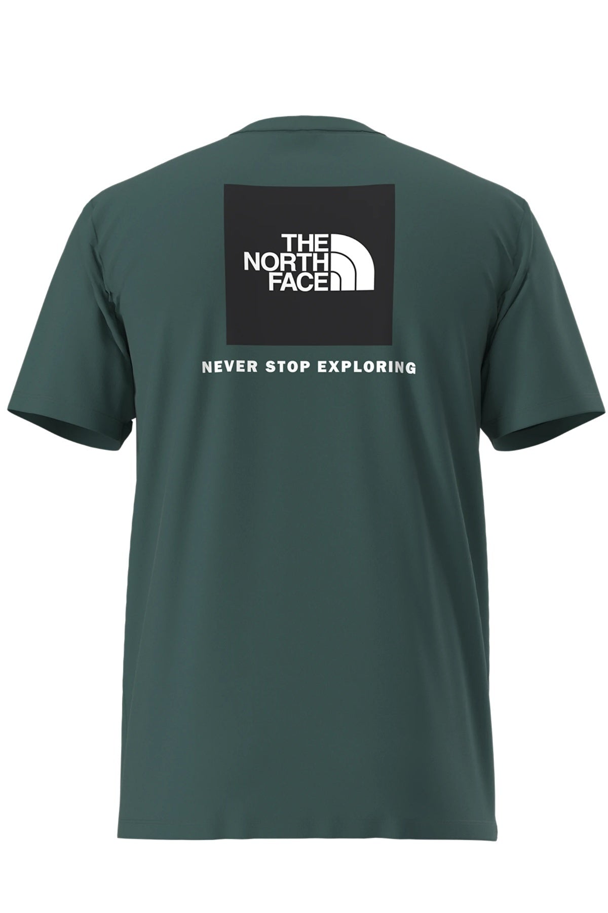 THE NORTH FACE M EVO BOX NSE REG SS T en color VERDE (2)