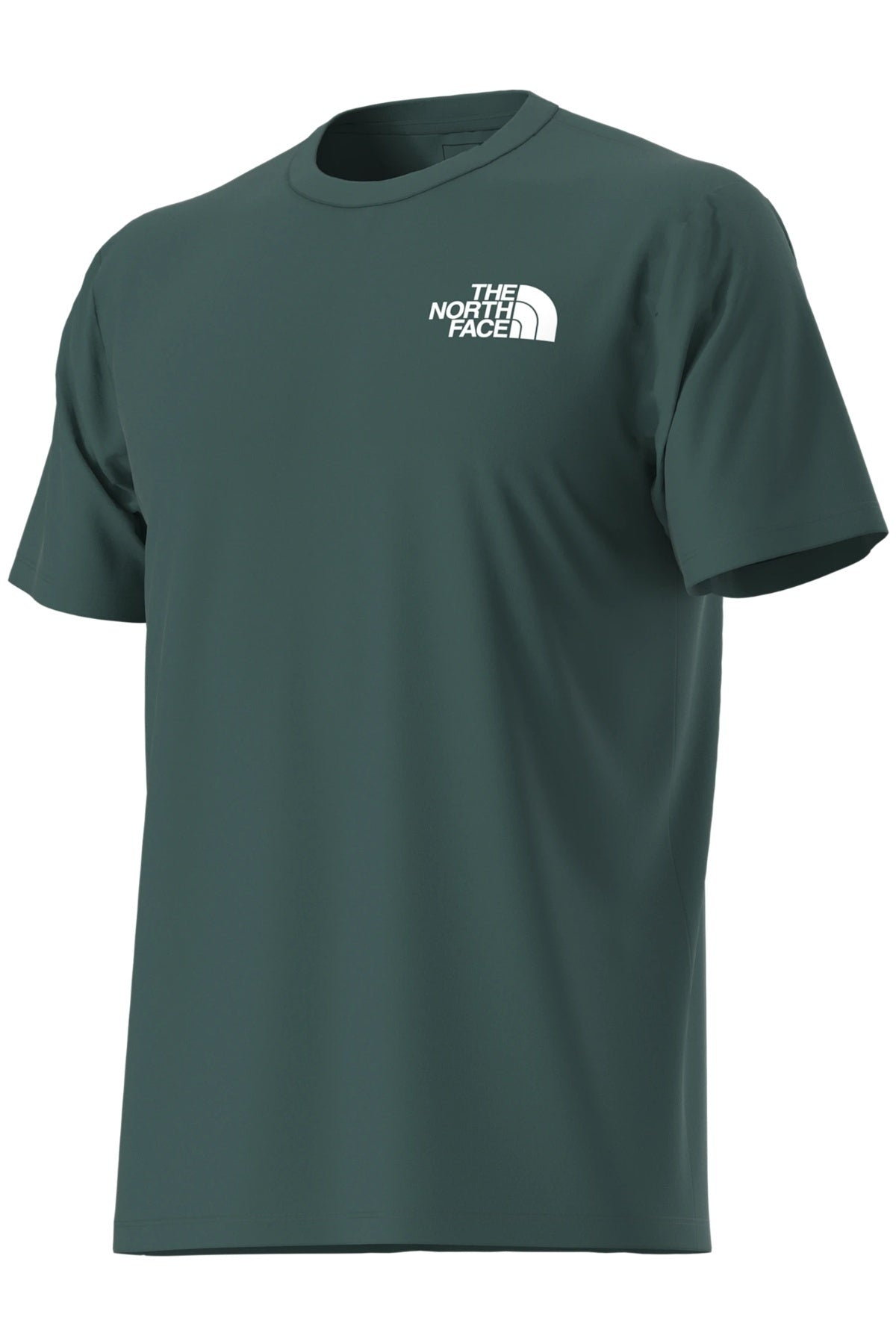 THE NORTH FACE M EVO BOX NSE REG SS T en color VERDE (3)