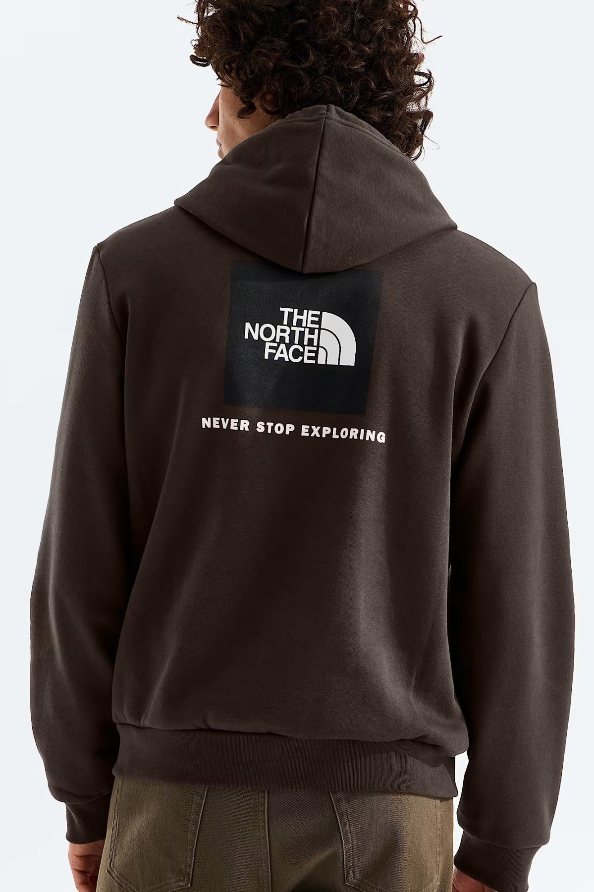 THE NORTH FACE M EVO SD REG HOODIE en color GRIS (2)