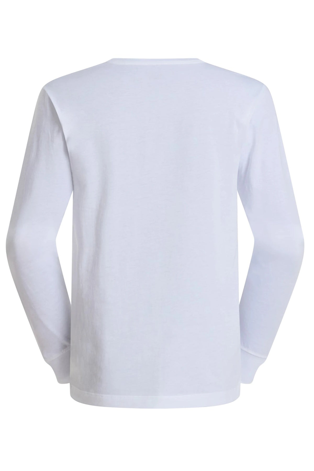 THE NORTH FACE M EVO SD REG LS TEE en color BLANCO (2)