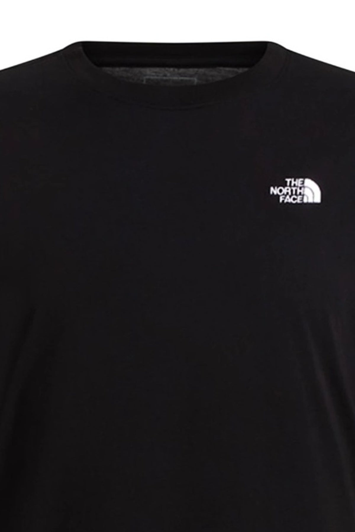 THE NORTH FACE M EVO SD REG LS TEE en color (3)