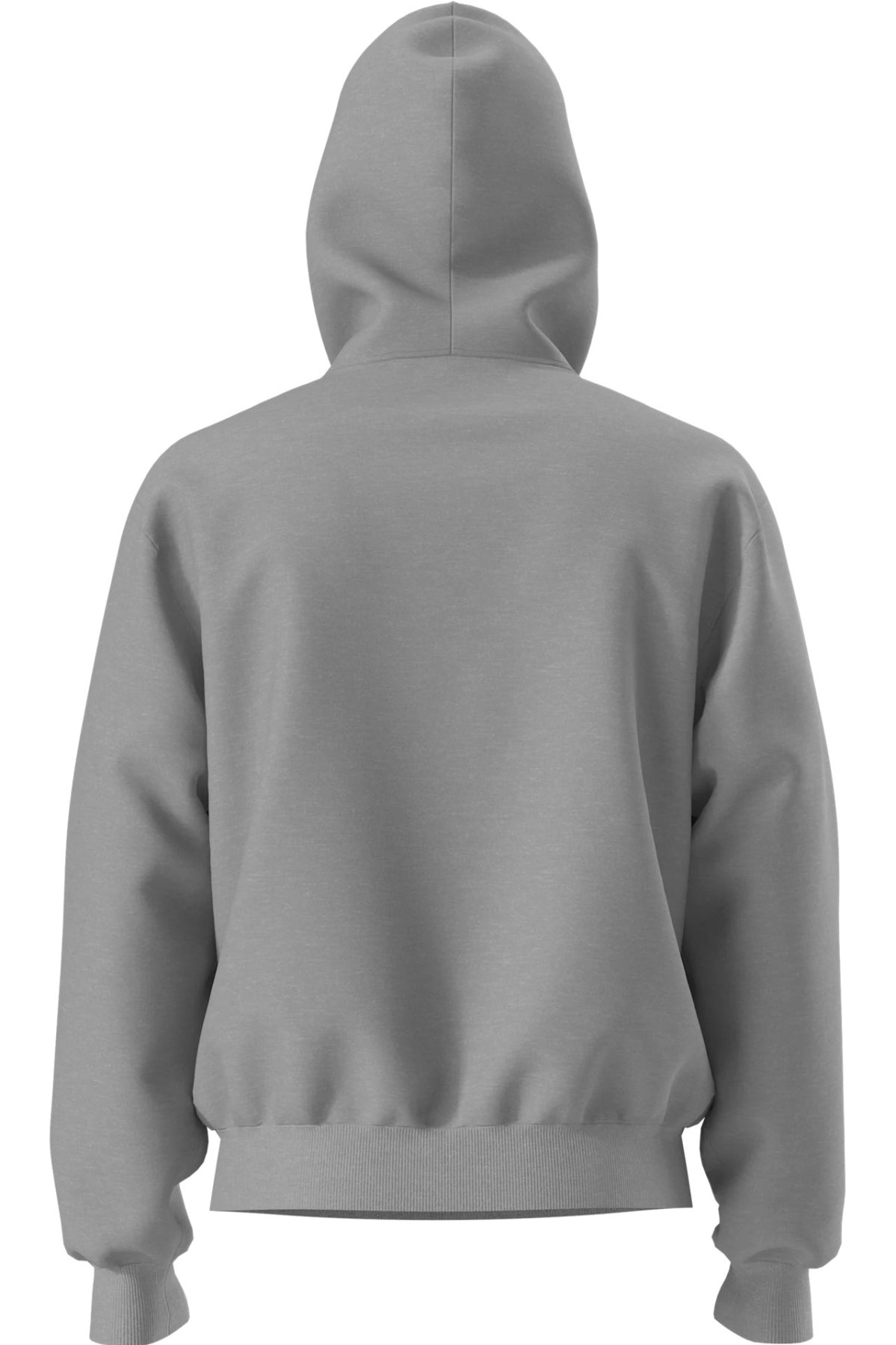 THE NORTH FACE M ESS SD RLX HOODIE en color GRIS (2)