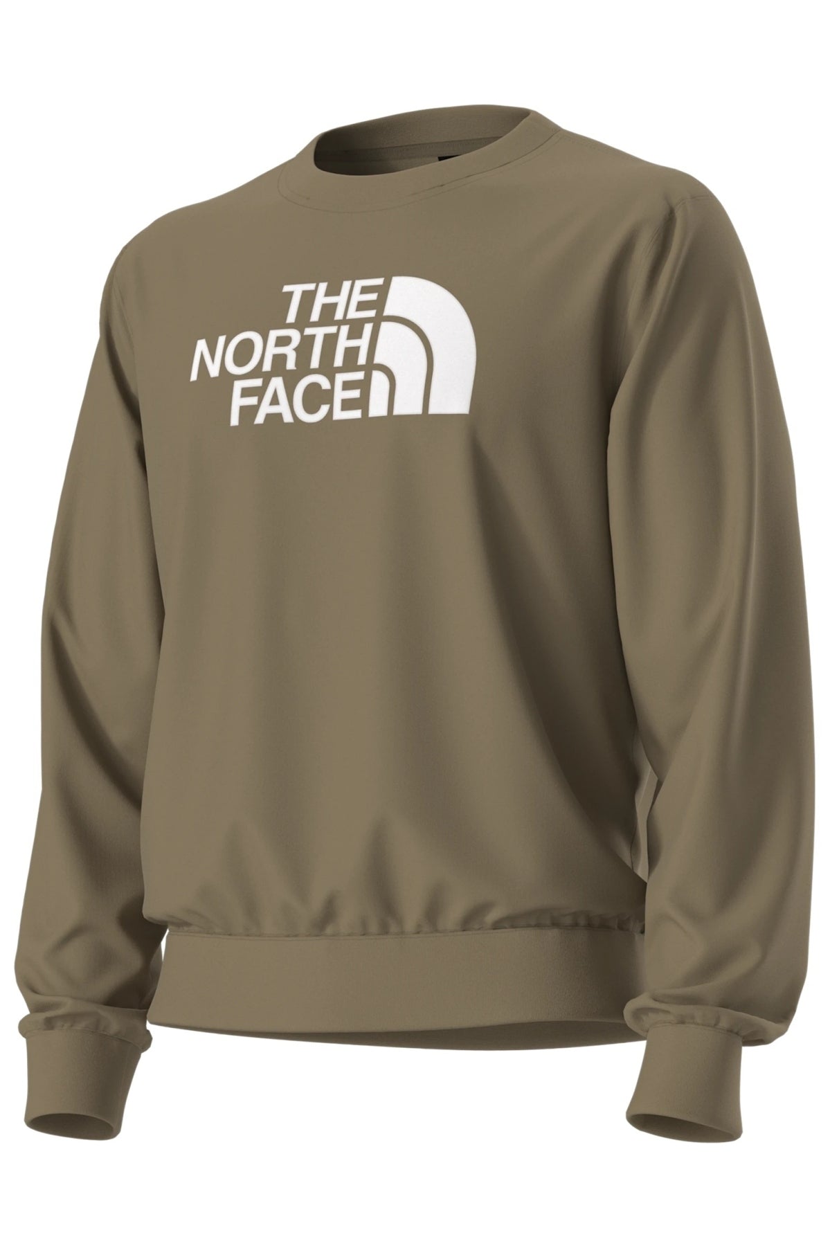 THE NORTH FACE M ESS DP REG CREW en color MARRON (3)