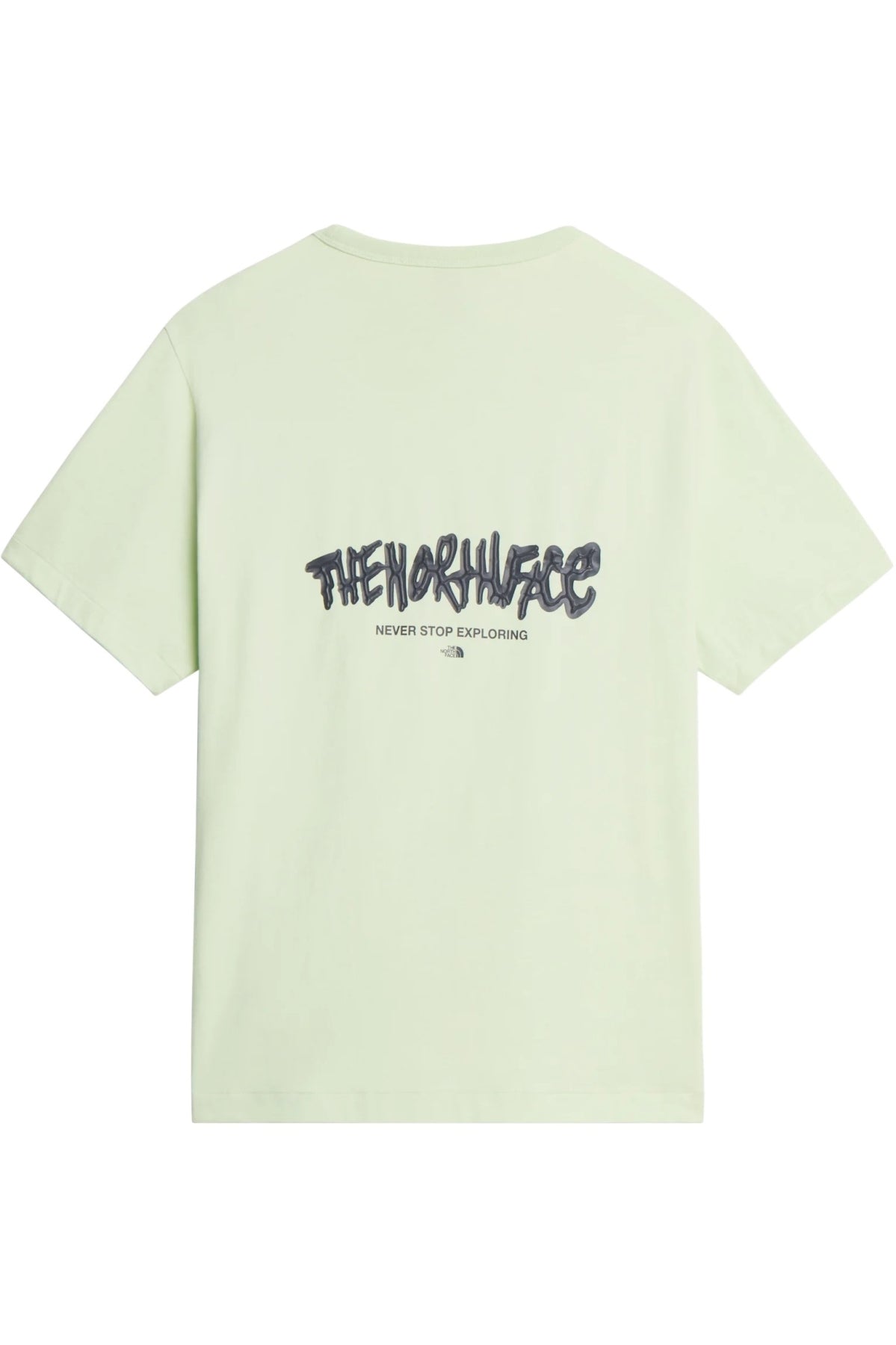 THE NORTH FACE U NSE RELAXED SS TEE en color VERDE (2)