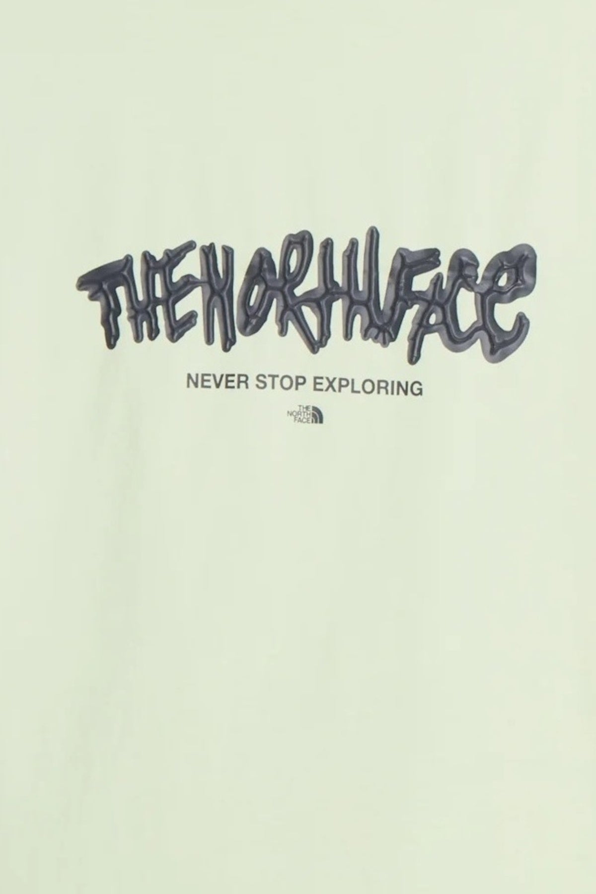 THE NORTH FACE U NSE RELAXED SS TEE en color VERDE (3)