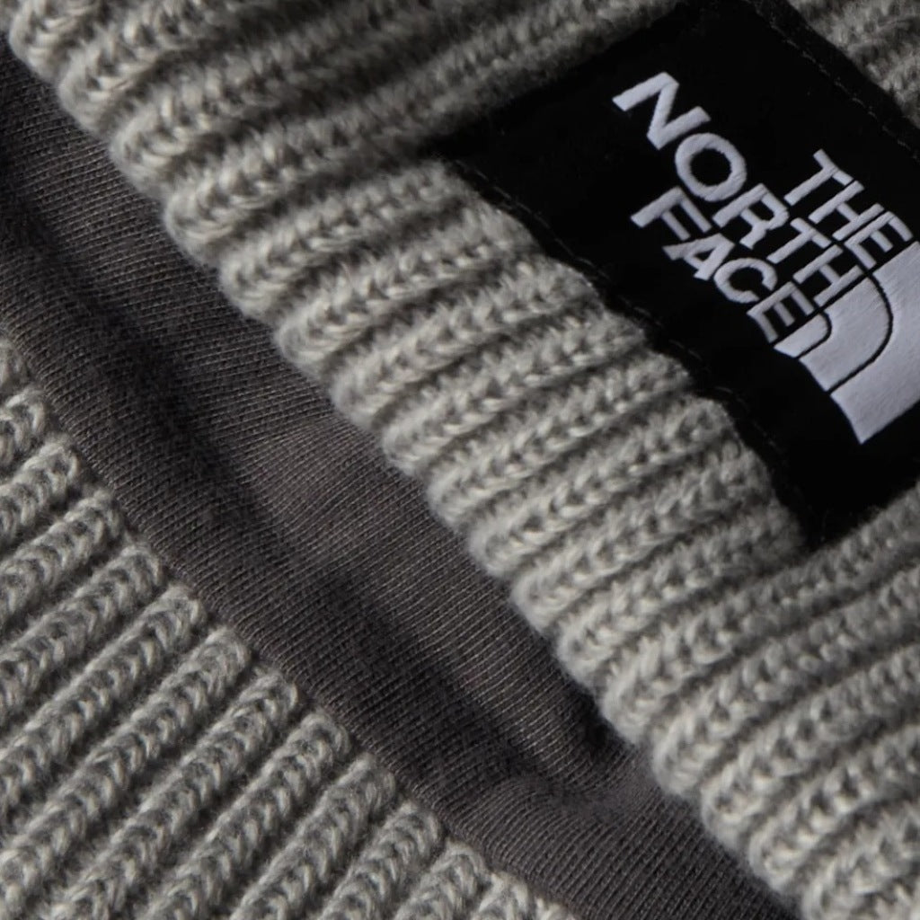 THE NORTH FACE SALTY LINED BEANIE en color (5)