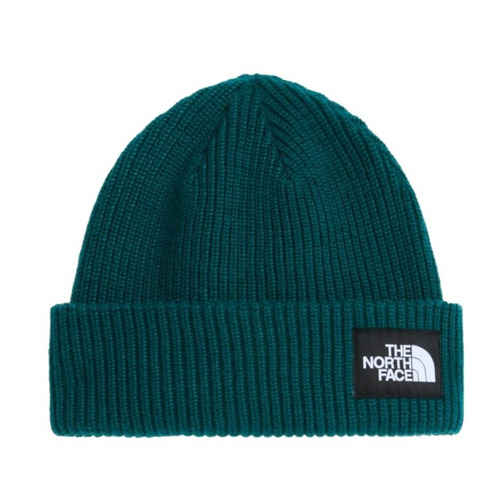 THE NORTH FACE SALTY LINED BEANIE en color VERDE (4)