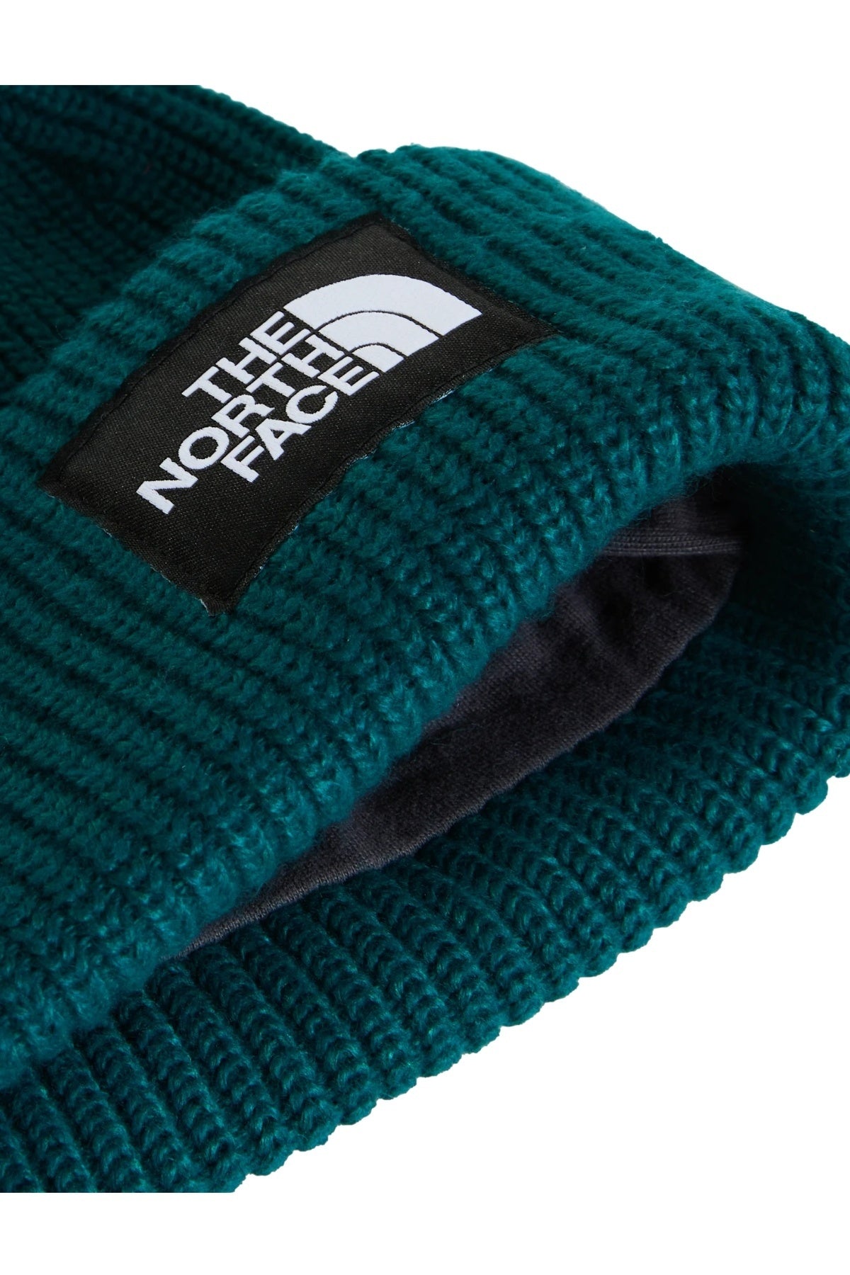 THE NORTH FACE SALTY LINED BEANIE en color VERDE (2)