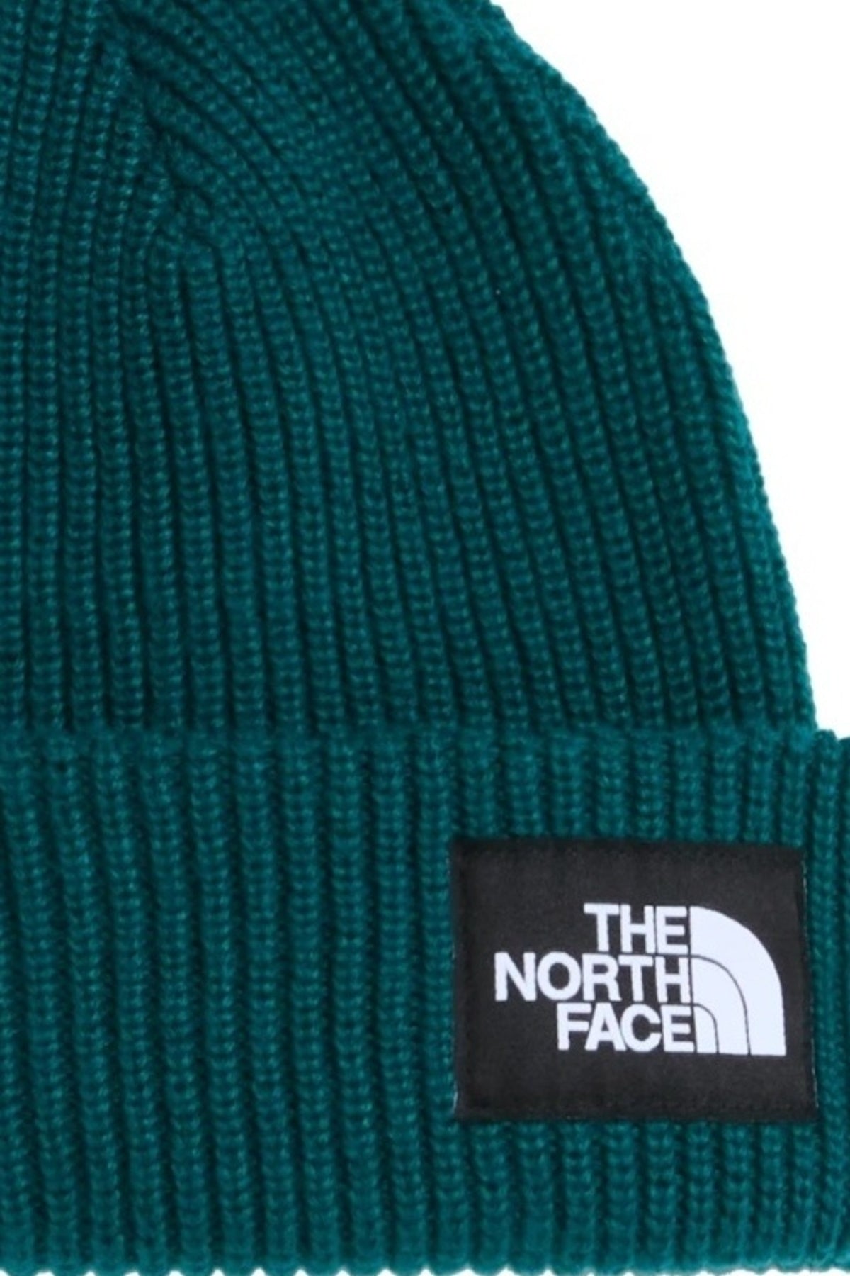 THE NORTH FACE SALTY LINED BEANIE en color (3)