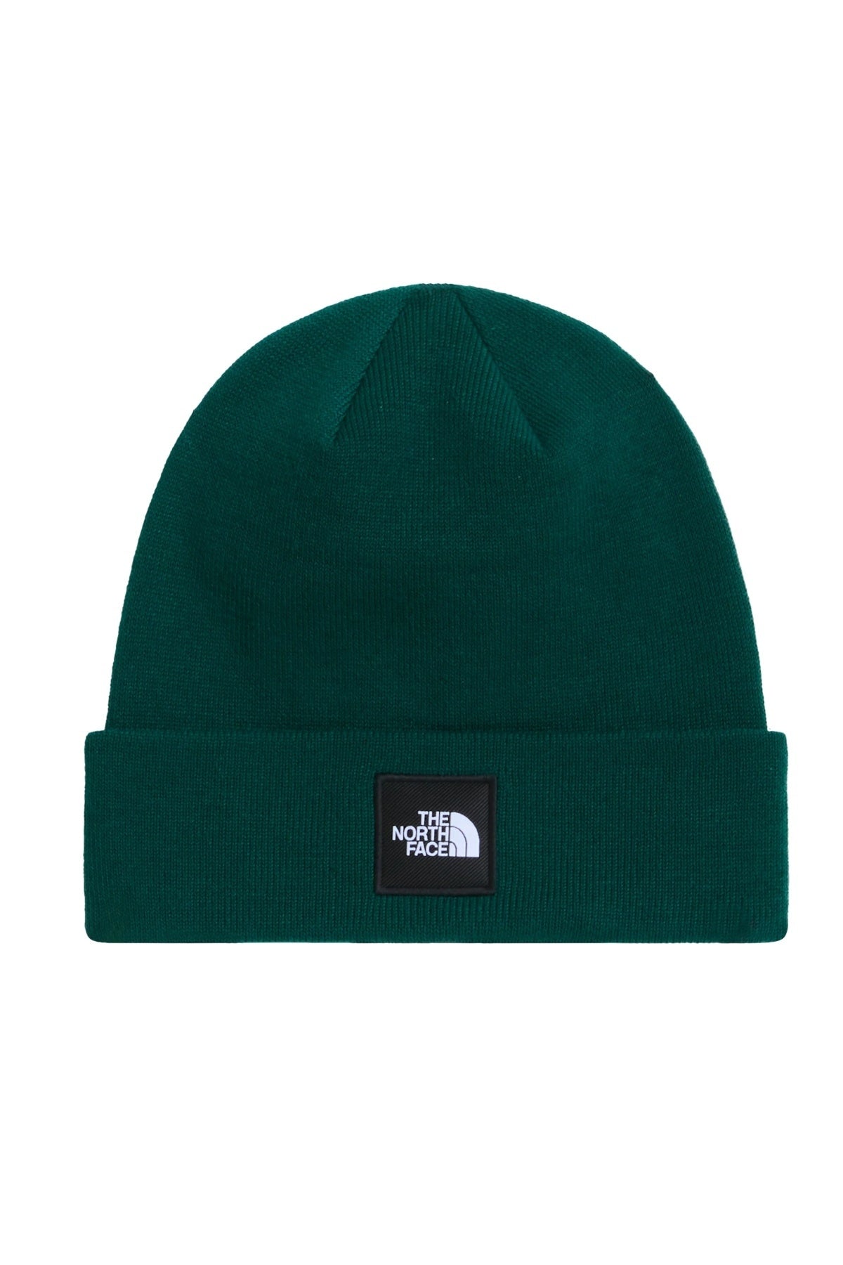 THE NORTH FACE DOCK WORKER RCYCLD BNE en color VERDE (1)