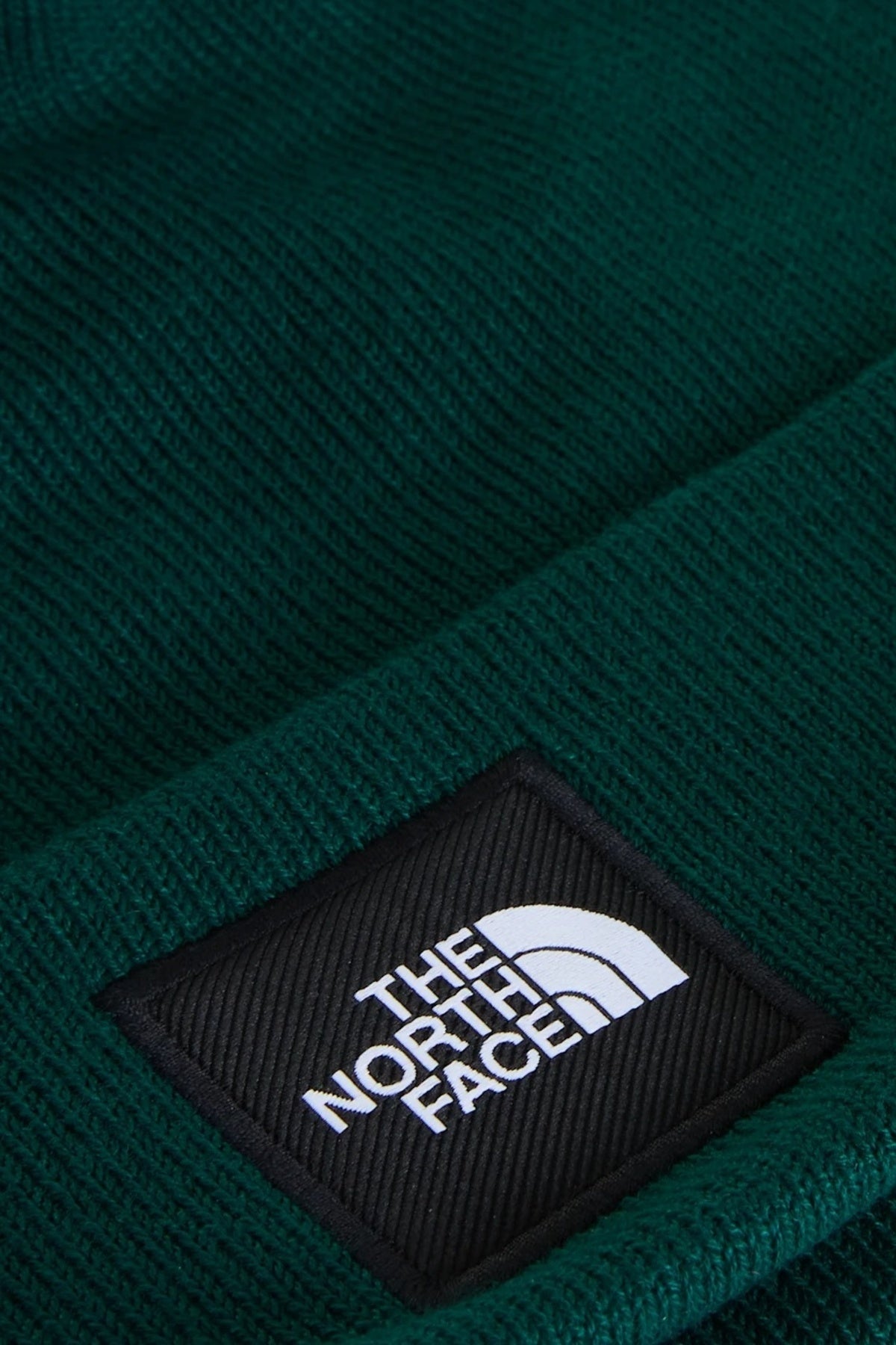 THE NORTH FACE DOCK WORKER RCYCLD BNE en color VERDE (3)
