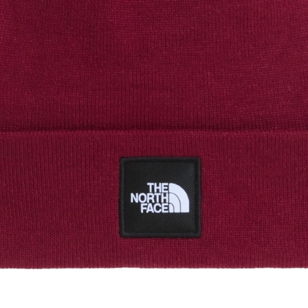 THE NORTH FACE DOCK WORKER RCYCLD BNE en color (6)