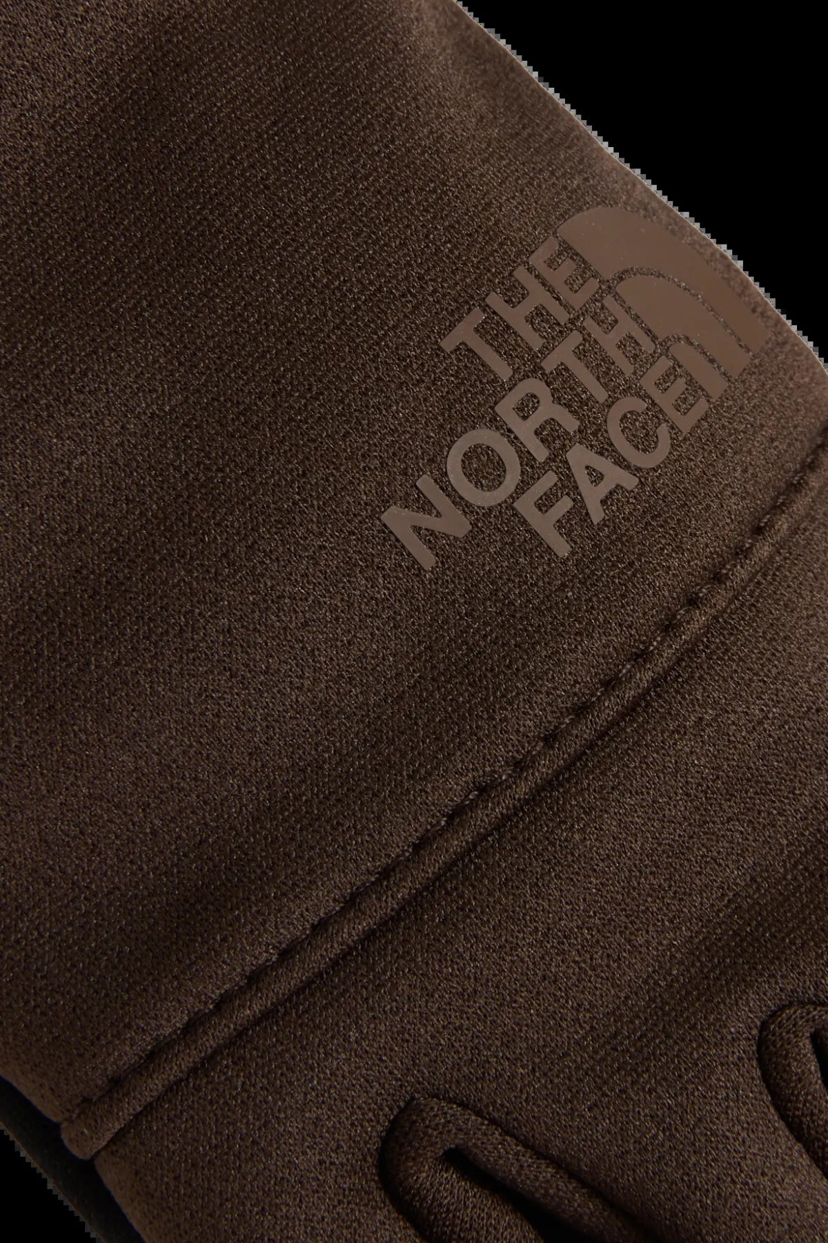 THE NORTH FACE W ETIP RECYD GLOVE en color MARRON (3)