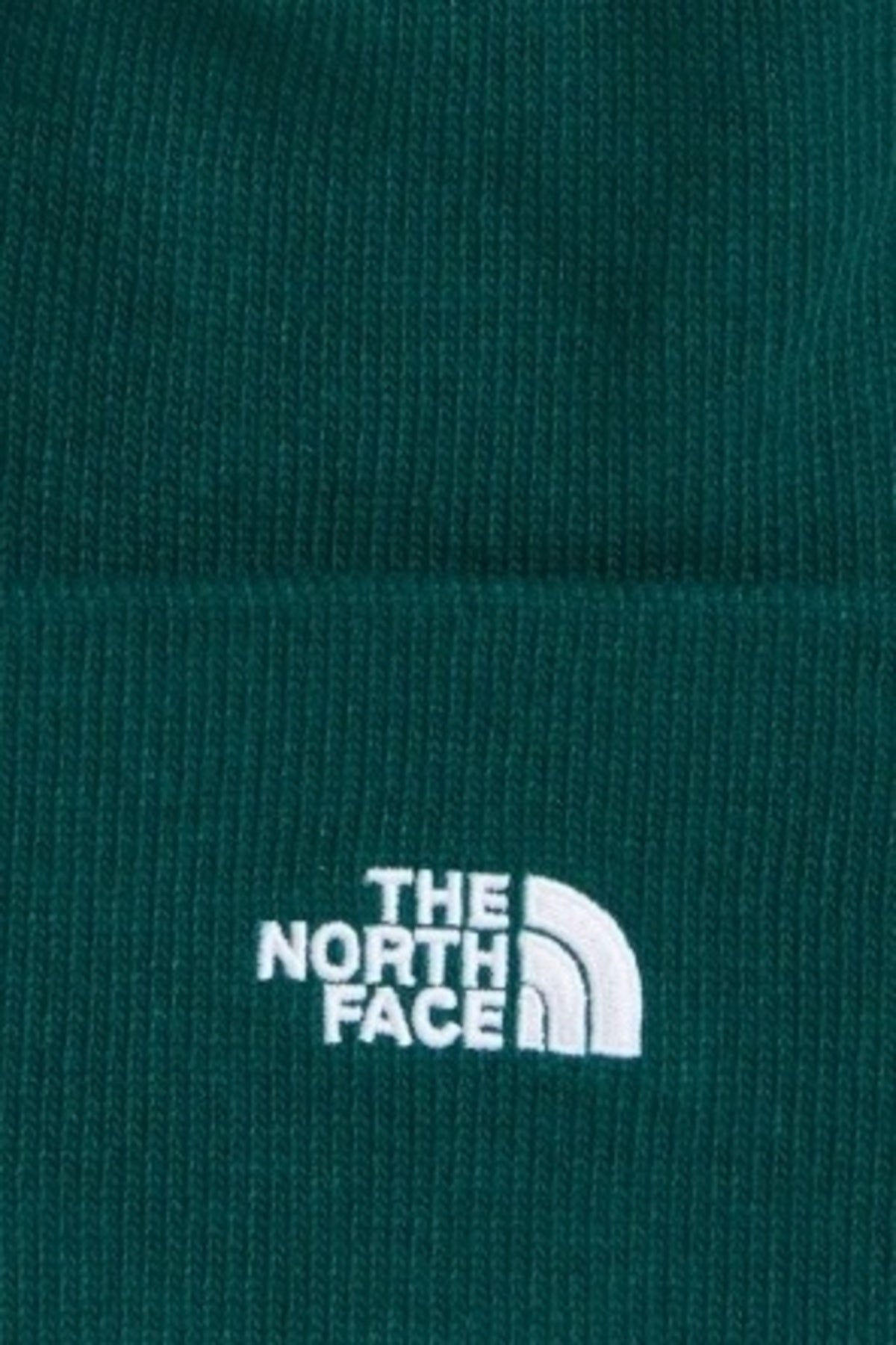 THE NORTH FACE NORM BEANIE en color (3)