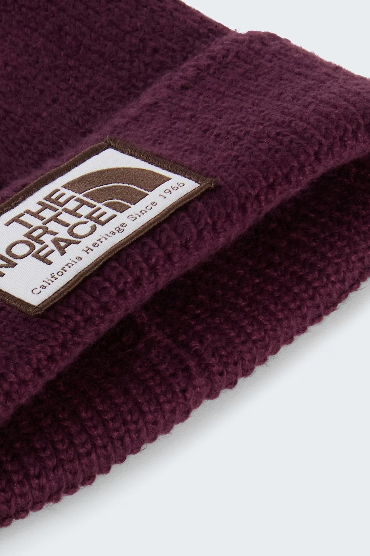 THE NORTH FACE TNF LOGO BOX CUFFED BNE en color (2)