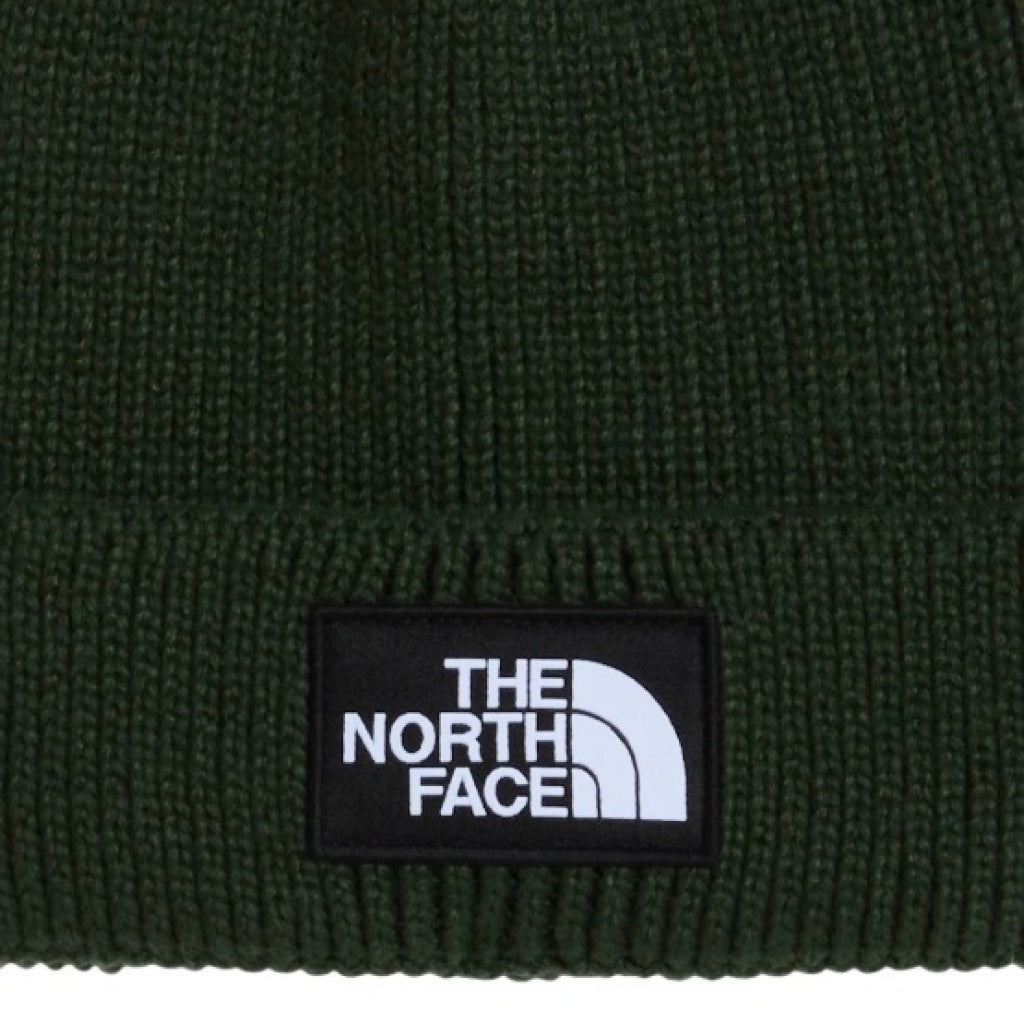 THE NORTH FACE TNF LOGO BOX CUFFED BNE en color (5)