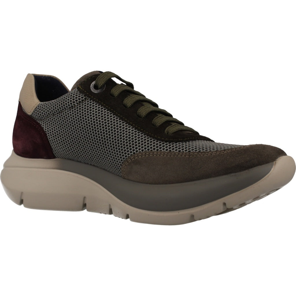 CALLAGHAN C en color MULTICOLOR (5)
