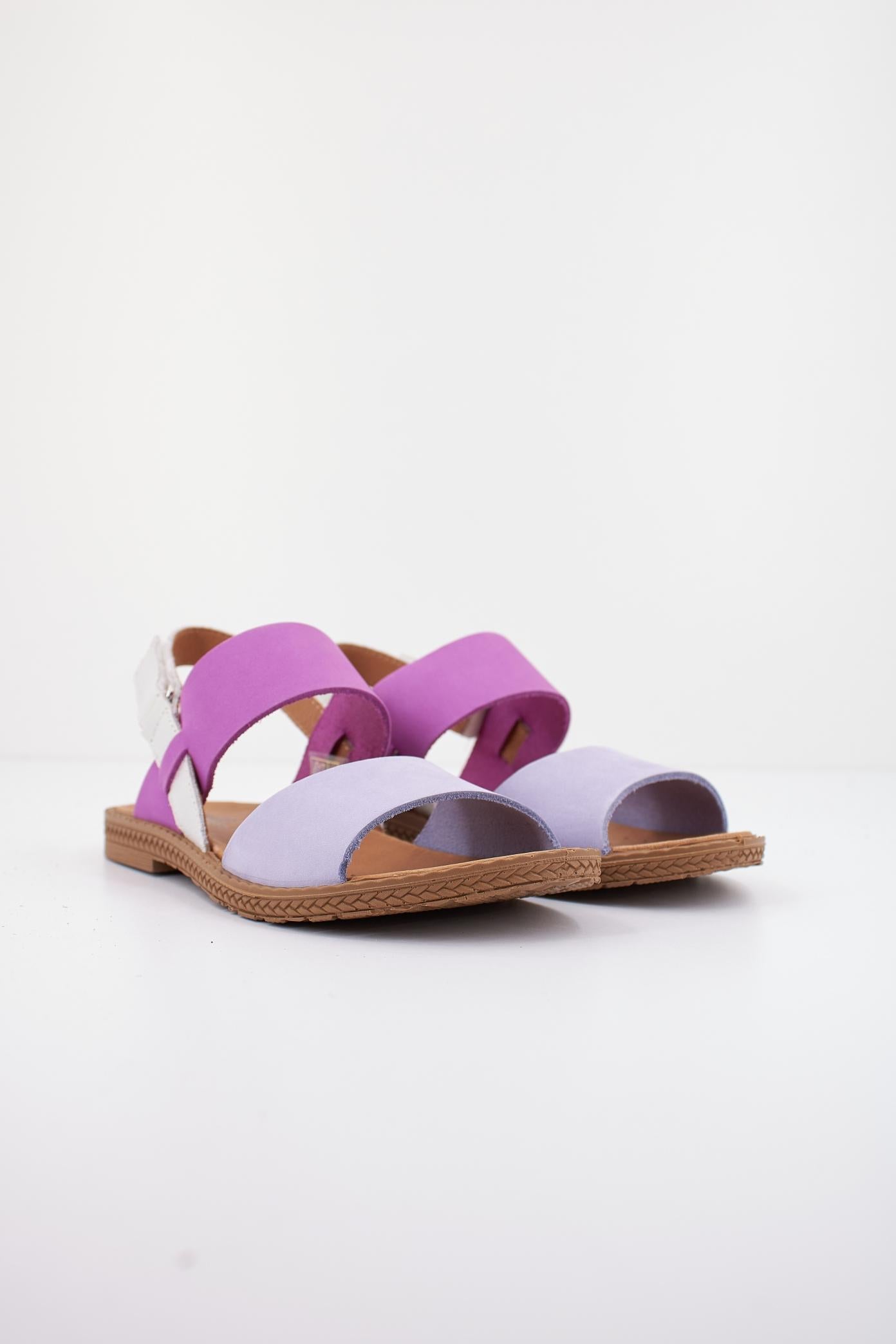 PRIMIGI AMELIA en color VIOLETA (2)