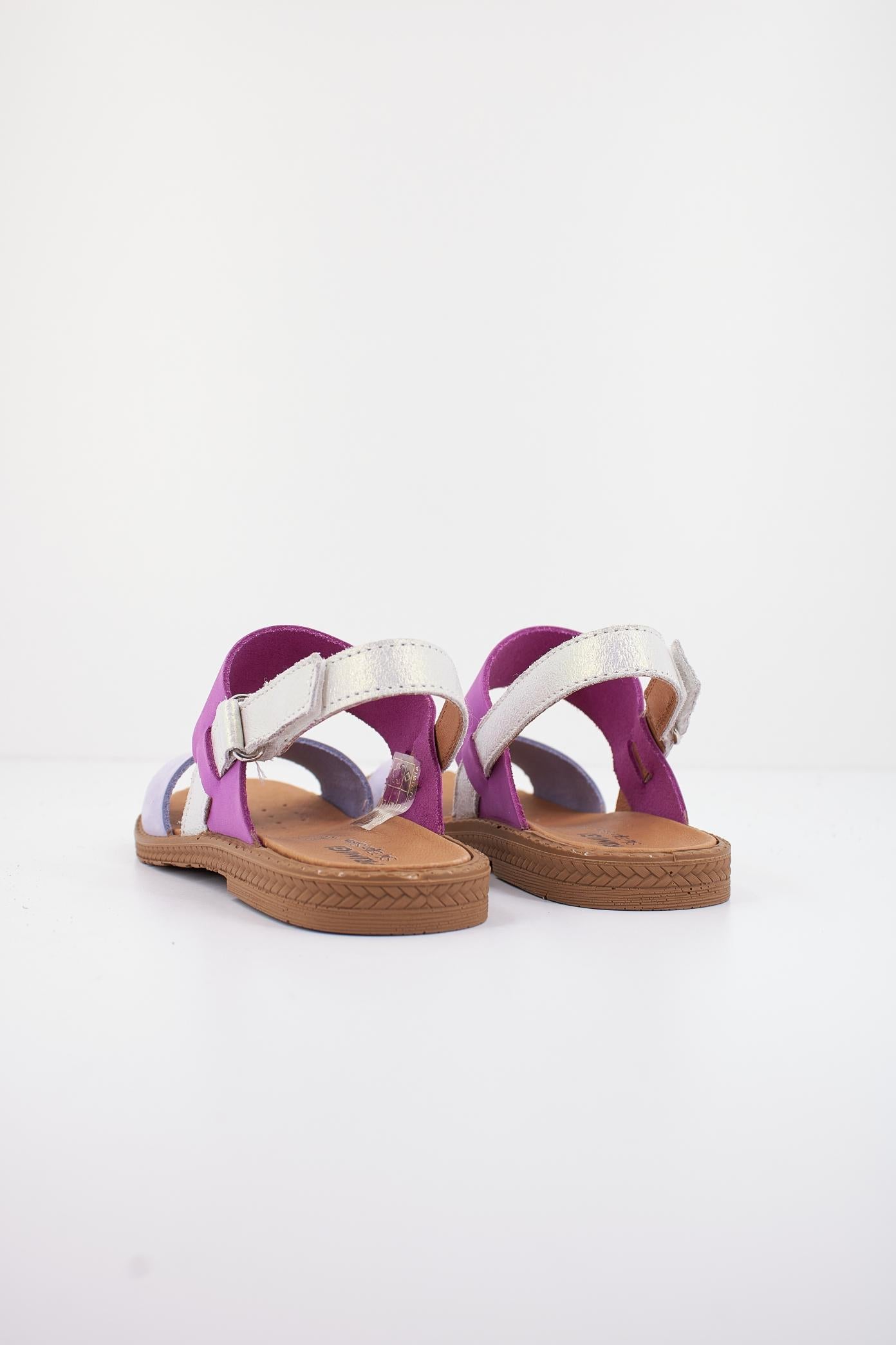 PRIMIGI AMELIA en color VIOLETA (3)