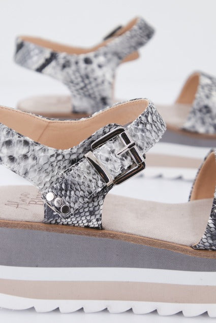 ALMA BLUE VBL en color ANIMAL PRINT (4)