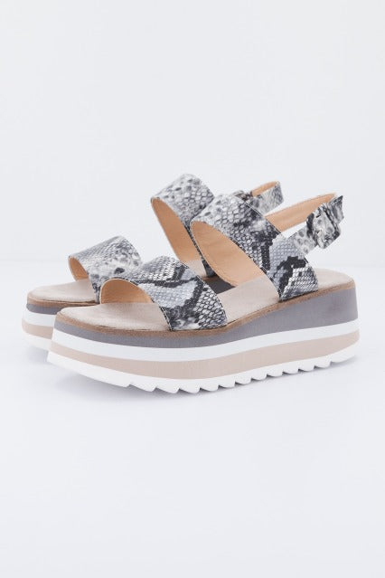 ALMA BLUE VBL en color ANIMAL PRINT (1)