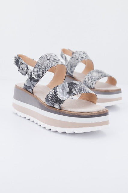 ALMA BLUE VBL en color ANIMAL PRINT (2)