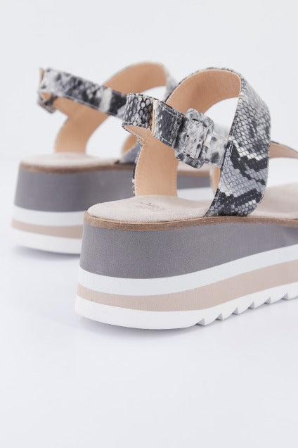 ALMA BLUE VBL en color ANIMAL PRINT (3)