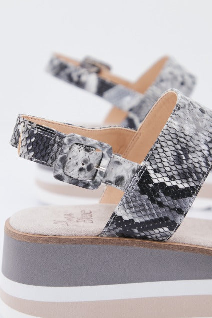 ALMA BLUE VBL en color ANIMAL PRINT (4)