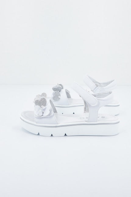 ASSO AG en color BLANCO (1)