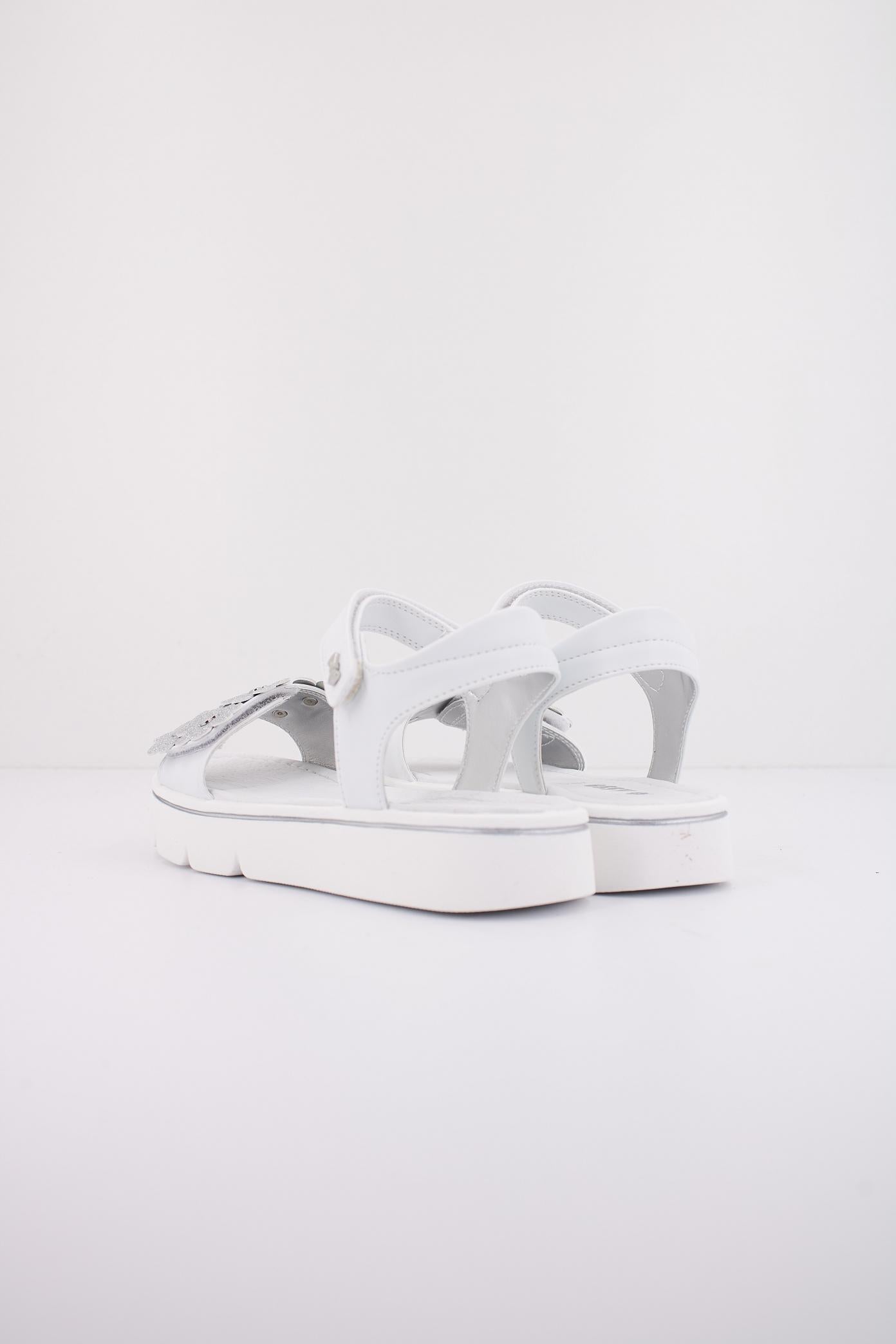 ASSO AG en color BLANCO (4)