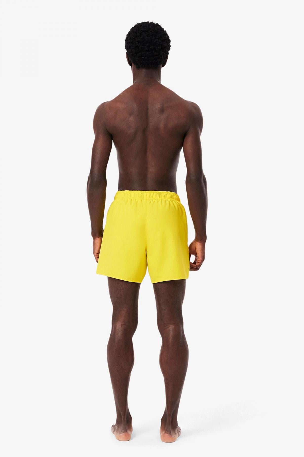 LACOSTE SLEEVED RIBBED COLLAR en color AMARILLO (3)