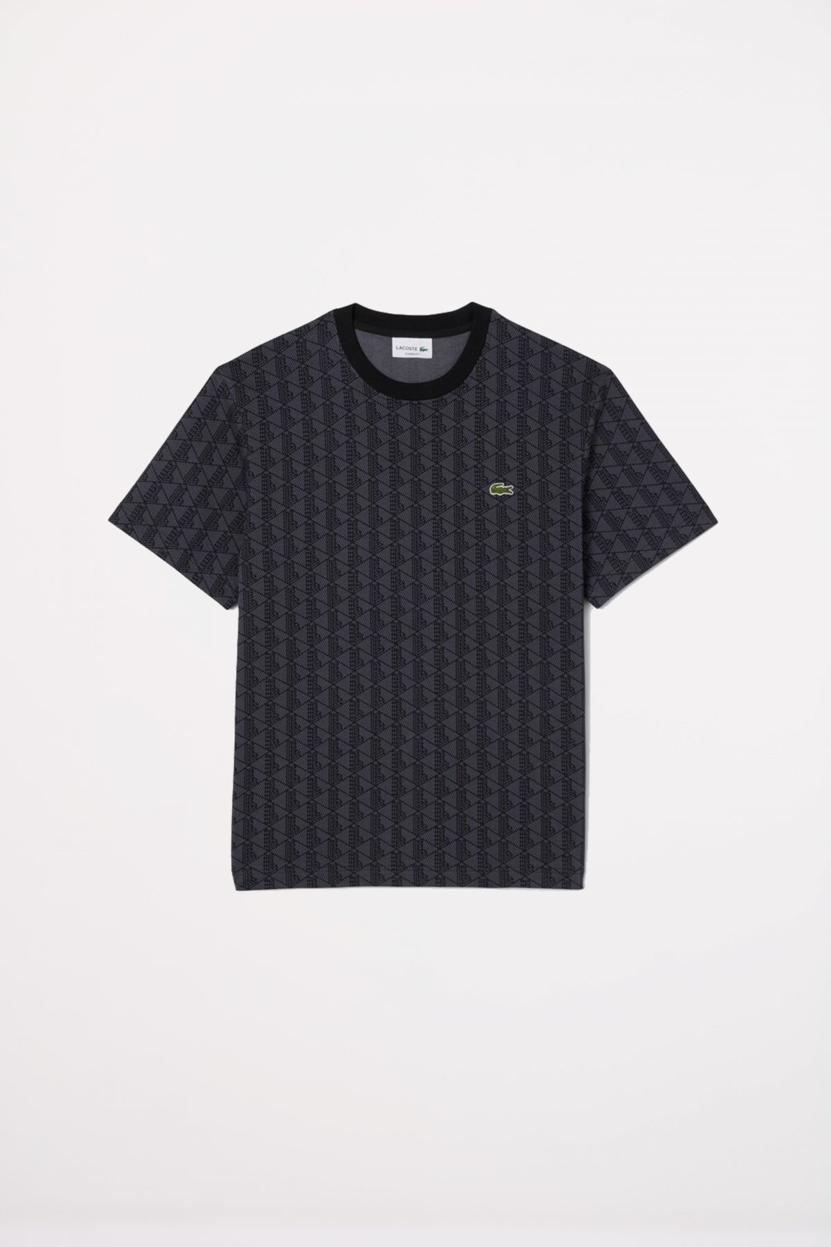 LACOSTE TH en color GRIS (2)